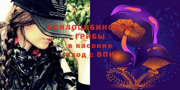 экстази Липки