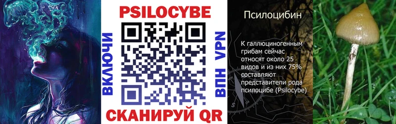 Псилоцибиновые грибы мухоморы  Торопец 